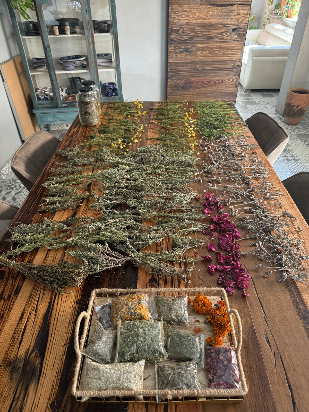 Mesa de trabajo de Conecta Tierra con plantas y flores